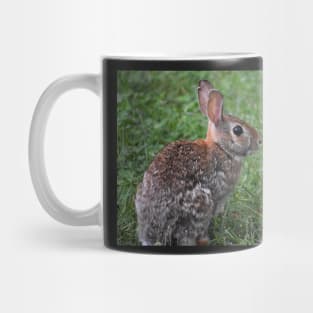 Eastern Cottontail  Mug